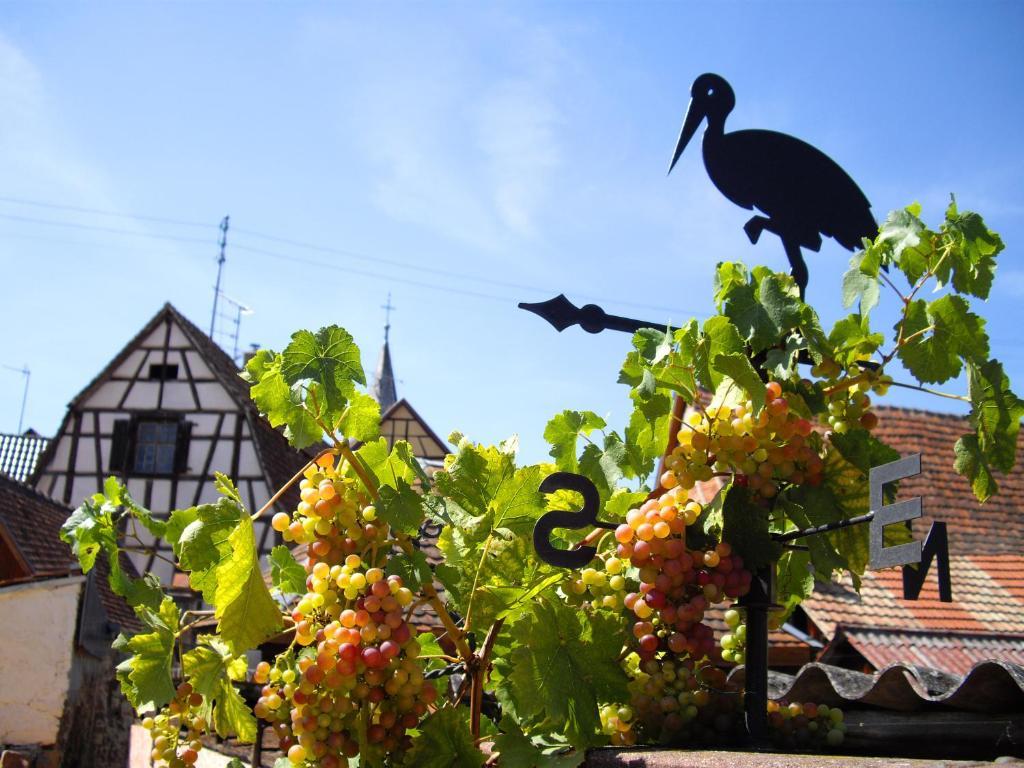 B&B Le Clos Des Raisins Beblenheim Eksteriør billede
