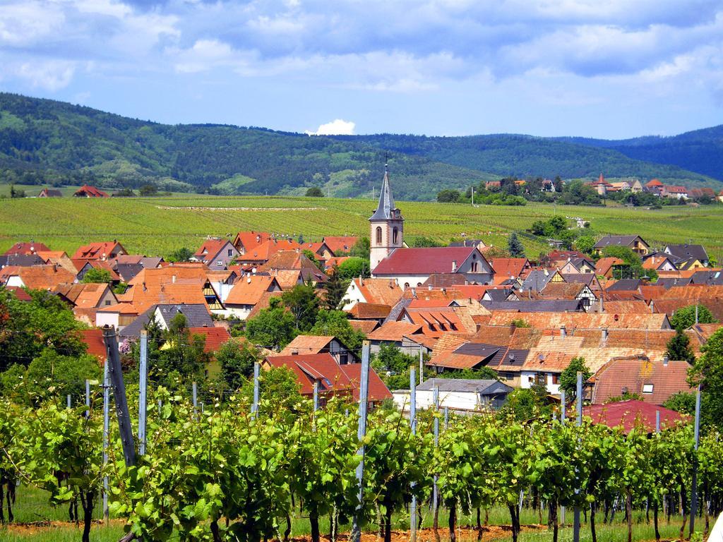 B&B Le Clos Des Raisins Beblenheim Eksteriør billede